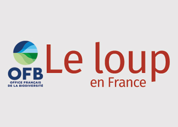 LOGO_LELOUP EN FRANCE_250X350